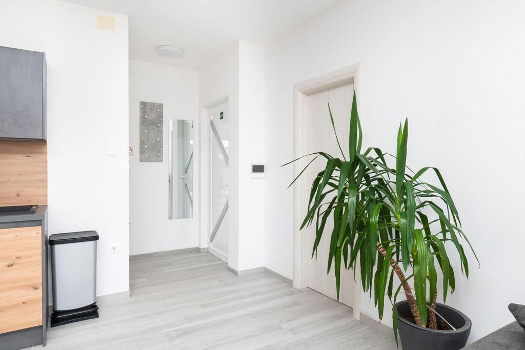 Apartments Grubisic - Sibenik - Parking Included Bagian luar foto